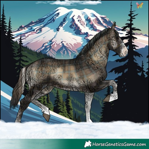 Horse Color:Plaid  Brown Ice Onyx 