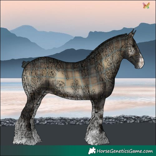 Horse Color:Plaid  Brown Ice Onyx 