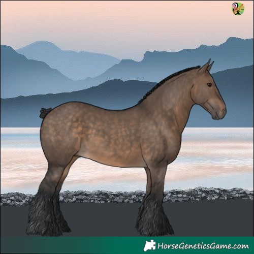 Horse Color:Brown Dun 