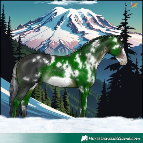 Horse Color:White Spotted Brown Frame Rabicano 