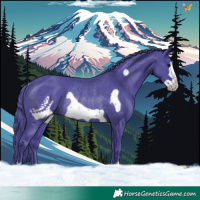 Horse Color:Watercolor Black Frame Rabicano 