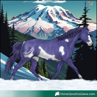 Horse Color:Watercolor Black Frame Rabicano 