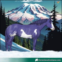 Horse Color:Watercolor Black Frame Rabicano 