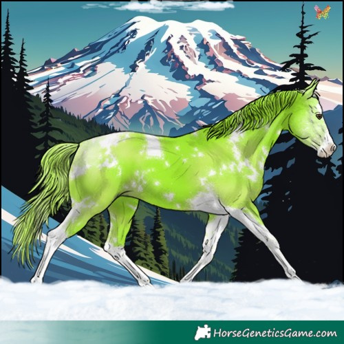 Horse Color:Watercolor White Spotted Liver Chestnut Splash Tobiano 