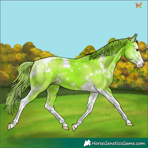 Horse Color:Watercolor White Spotted Liver Chestnut Splash Tobiano 