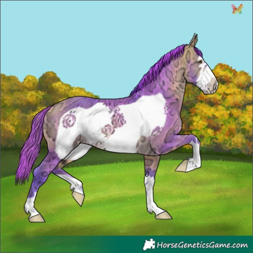 Horse Color:Watercolor Buckskin Ice Frame 