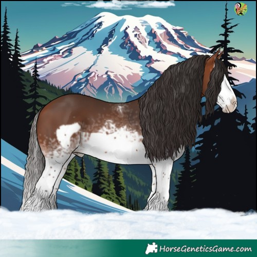 Horse Color:White Spotted Bay Splash Frame 