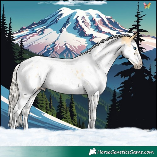 Horse Color:Palomino Dun Splash Tobiano Frame 