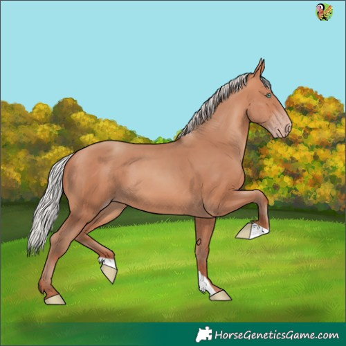 Horse Color:Silver Sable Champagne 