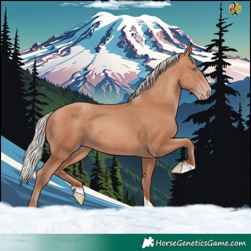 Horse Color:Silver Sable Champagne 