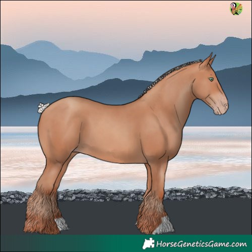 Horse Color:Silver Sable Champagne 