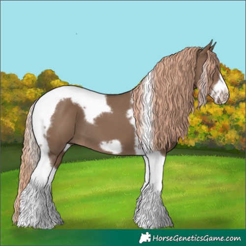 Horse Color:Liver Red Dun Tobiano Frame 