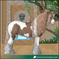 Horse Color:Liver Red Dun Tobiano Frame 