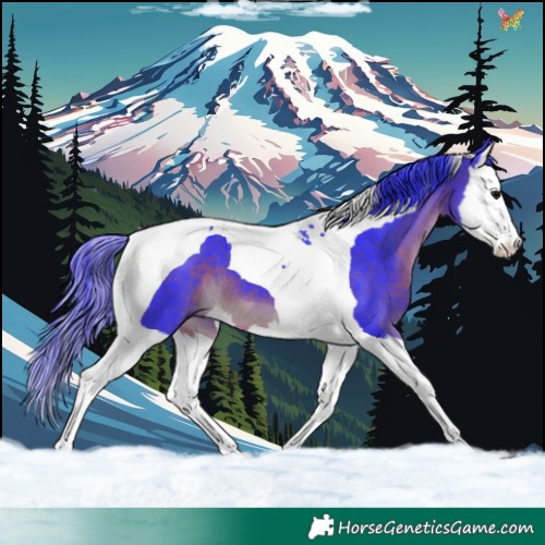 Horse Color:Watercolor Brown Splash Tobiano 