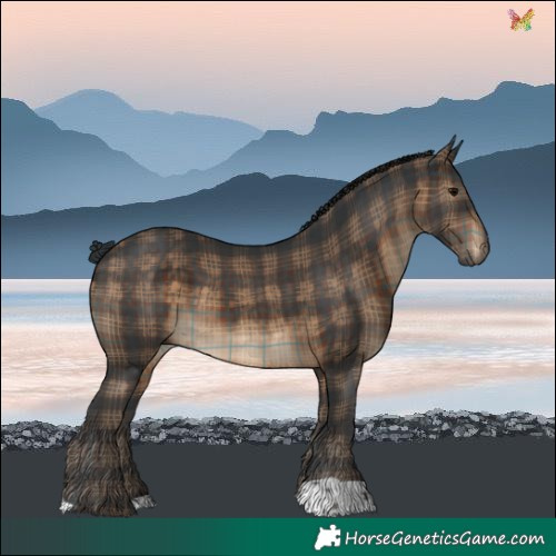 Horse Color:Plaid  Brown 