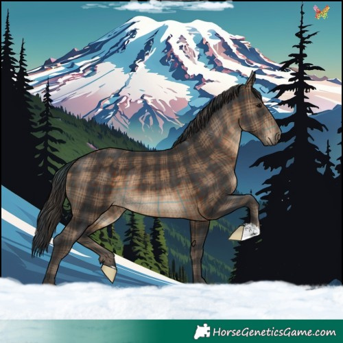 Horse Color:Plaid  Brown 