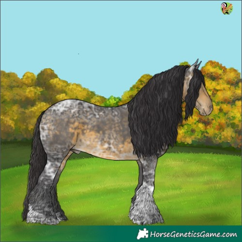 Horse Color:Buckskin Ice Tobiano Rabicano 