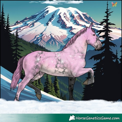 Horse Color:Void Watercolor White Spotted Buckskin Rabicano 