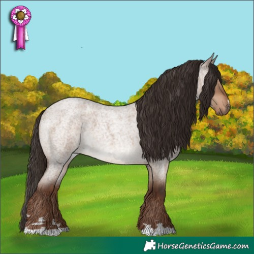 Horse Color:Liver Red Dun Roan