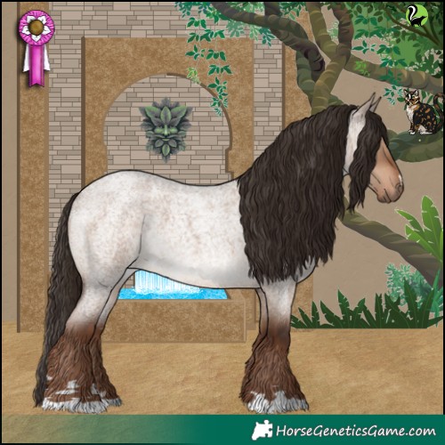 Horse Color:Liver Red Dun Roan 