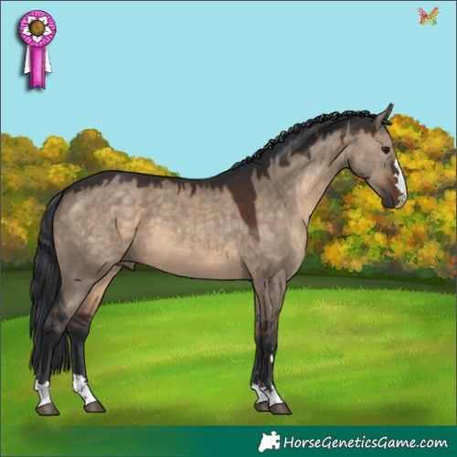 Horse Color:Brown Dun 