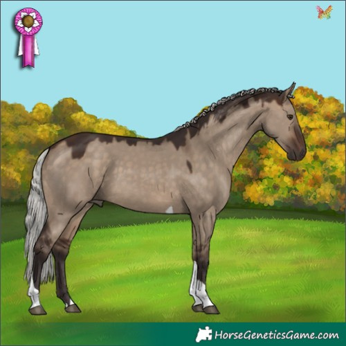 Horse Color:Silver Brown Dun Tobiano