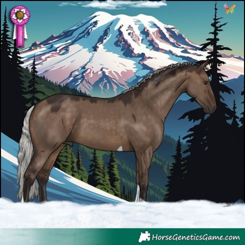 Horse Color:Silver Brown Dun Tobiano 