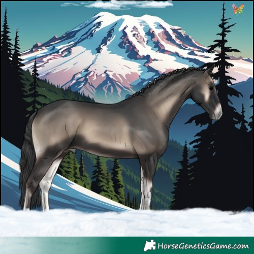 Horse Color:White Spotted Blue Onyx 