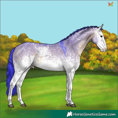 Horse Color:Watercolor White Spotted Brown Ice Dun 