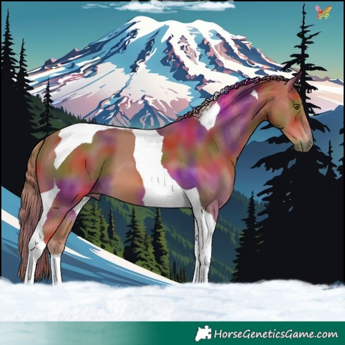 Horse Color:Nacre Chestnut Tobiano 