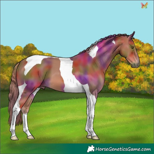 Horse Color:Nacre Chestnut Tobiano 
