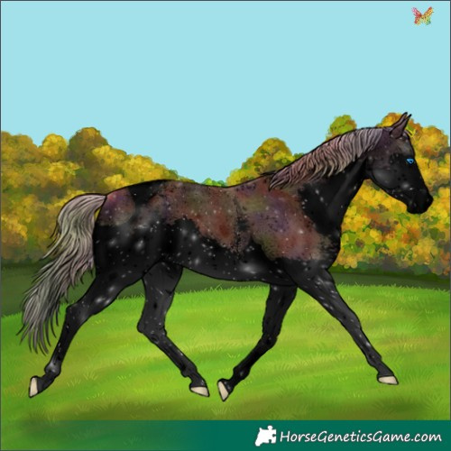Horse Color:Void Nacre Chestnut Sabino Splash Tobiano Appaloosa 