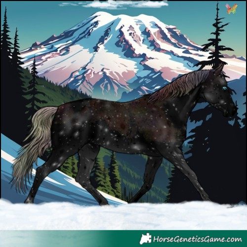 Horse Color:Void Nacre Chestnut Sabino Splash Tobiano Appaloosa 