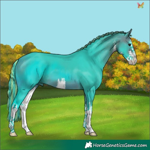 Horse Color:Painted Watercolor White Spotted Bay 