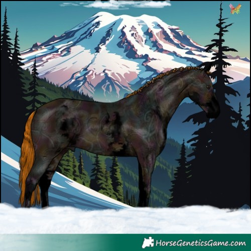 Horse Color:Void Painted White Spotted Midnight Bay Ice Tobiano 