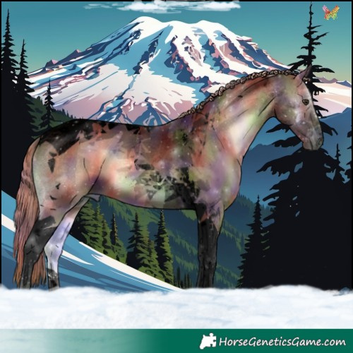 Horse Color:Void Nacre Red Onyx Tobiano 