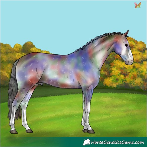 Horse Color:Nacre White Spotted Brown Onyx 