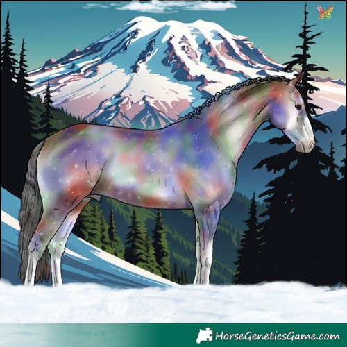 Horse Color:Nacre White Spotted Brown Onyx 