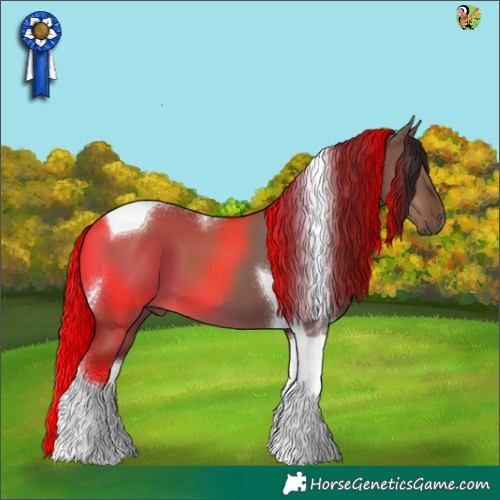 Horse Color:Liver Red Dun Tobiano 