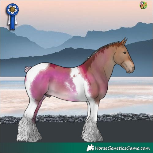 Horse Color:Silver Bay Dun Tobiano 