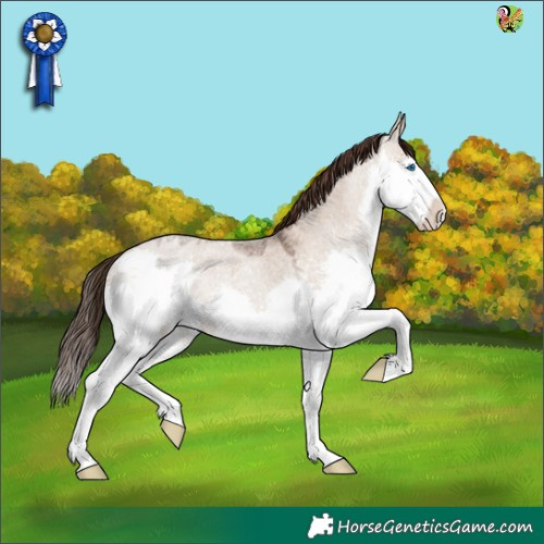 Horse Color:Liver Red Dun Roan Splash 