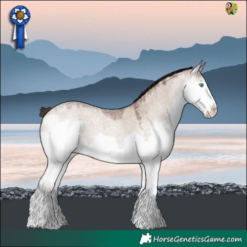 Horse Color:Liver Red Dun Roan Splash 