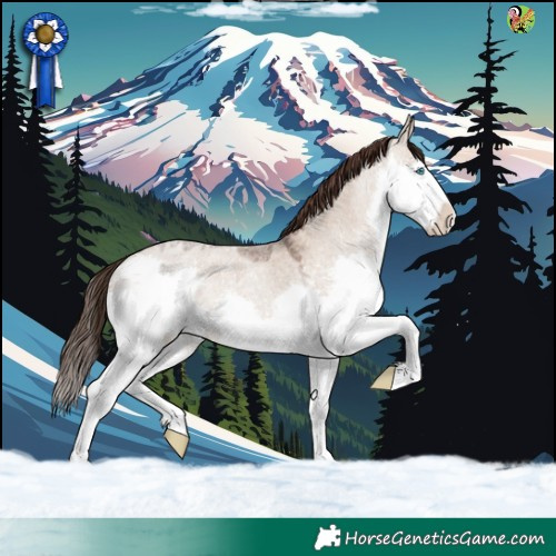 Horse Color:Liver Red Dun Roan Splash 