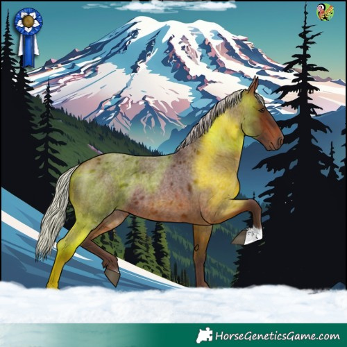 Horse Color:Silver Bay Roan 