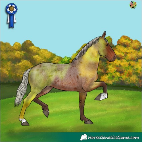 Horse Color:Silver Bay Roan 