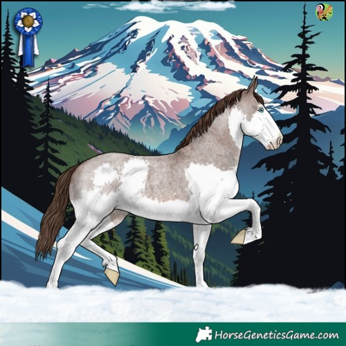 Horse Color:Liver Red Roan Splash 