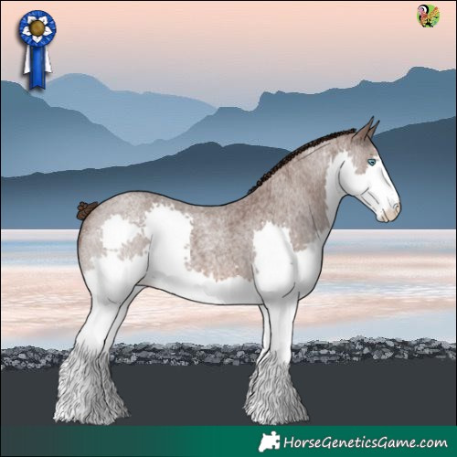Horse Color:Liver Red Roan Splash 