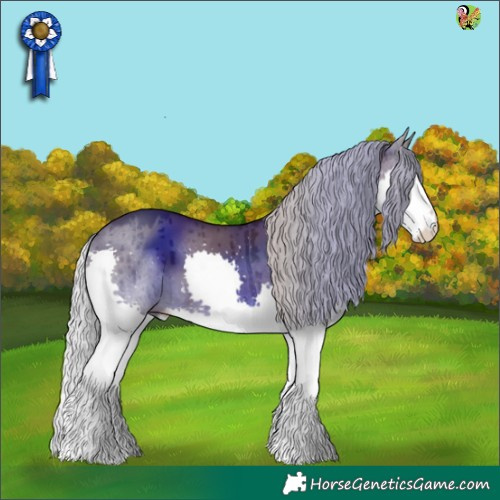 Horse Color:Silver Grullo Splash Brindle 