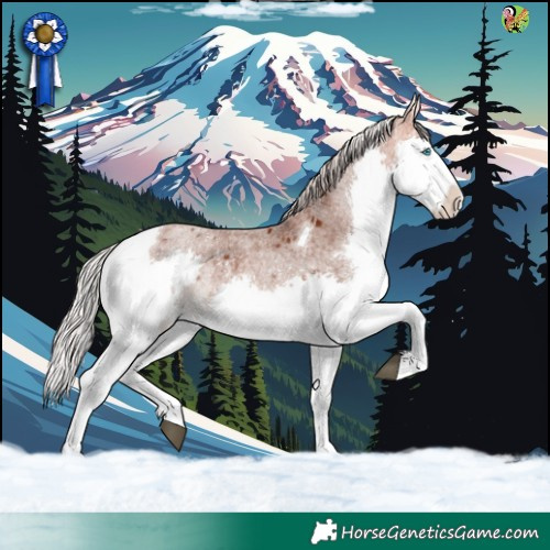 Horse Color:Silver Bay Roan Splash Tobiano 