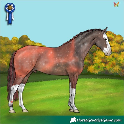 Horse Color:Painted Brown Dun Splash